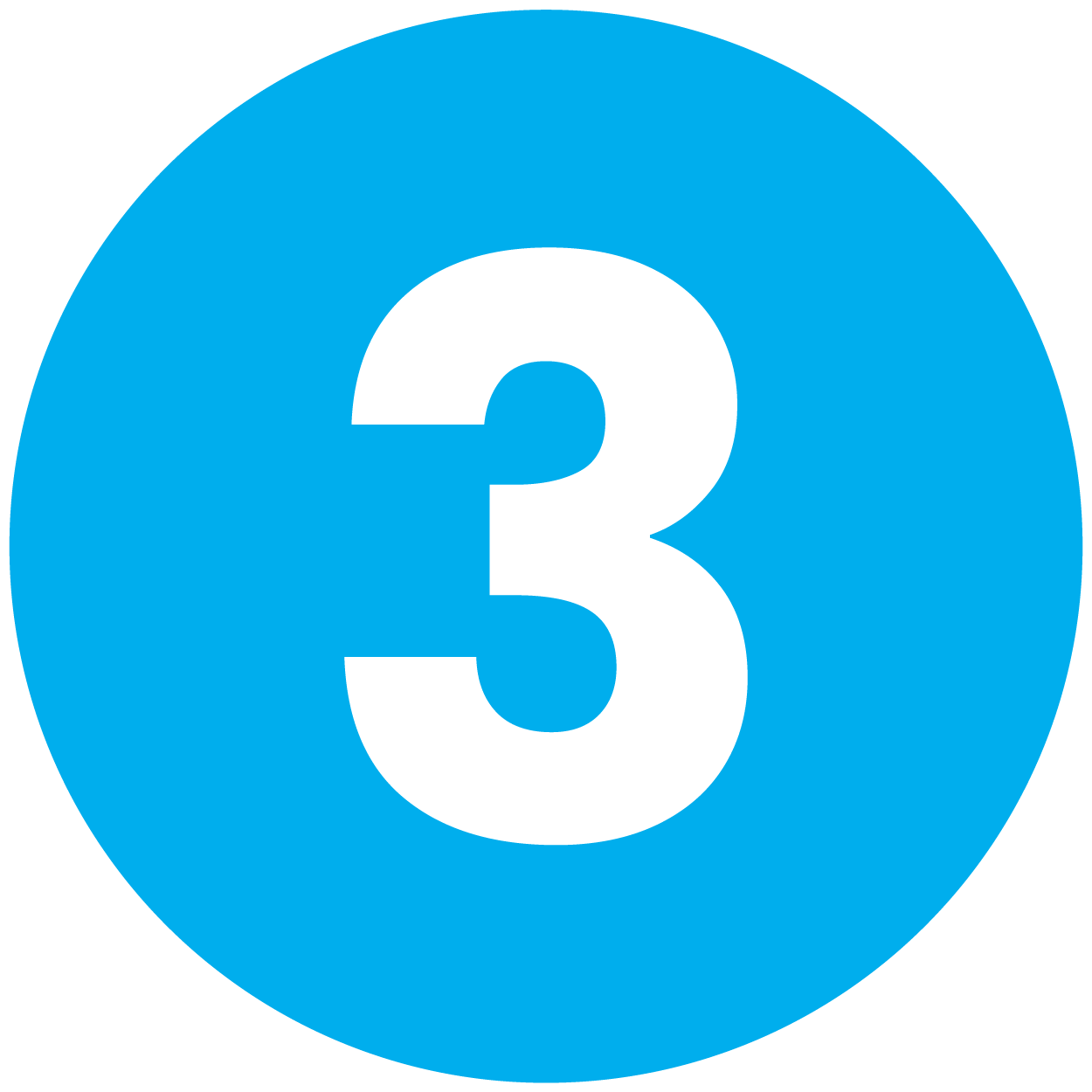 no. 3 in blue circle